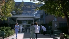 Greys Anatomy - Season 19 Episode 02